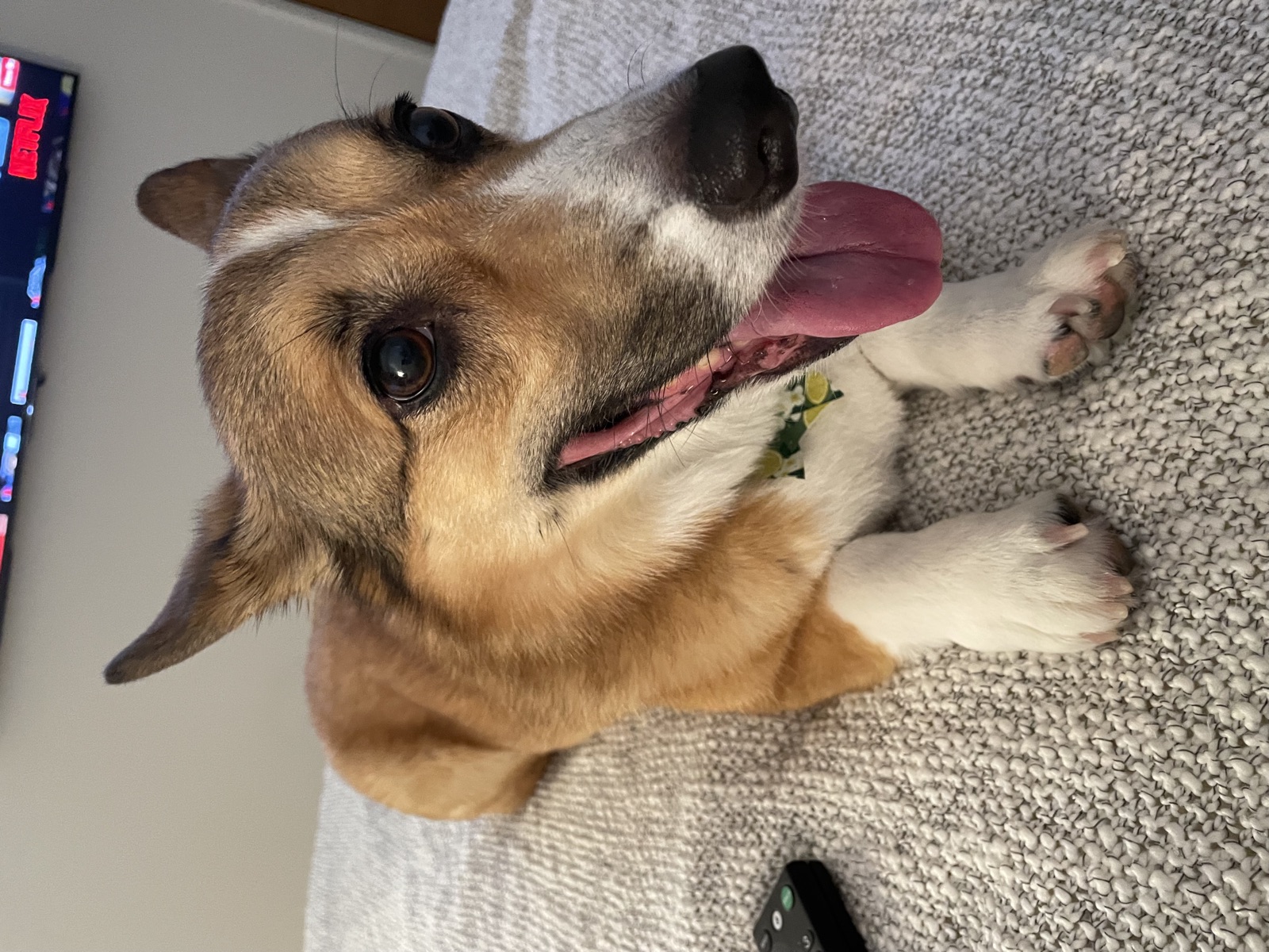 George with a happy smile